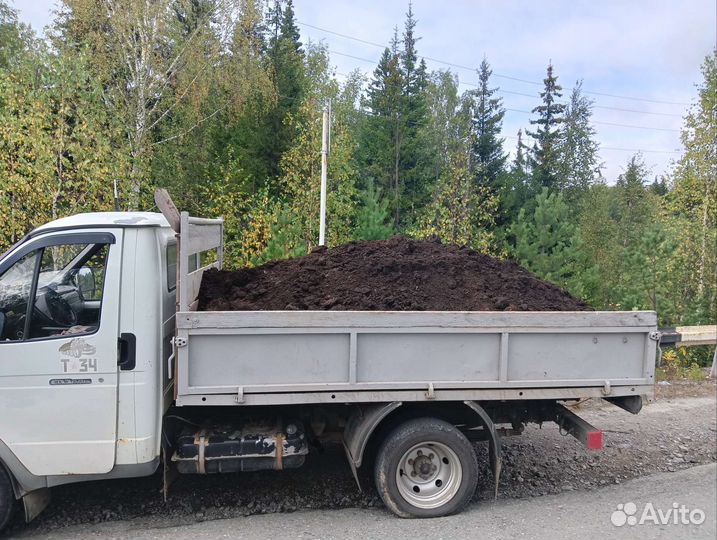 Дрова березовые колотые сухие