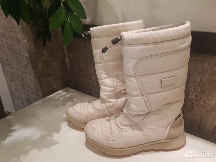 Зимние сапоги ecco для девочек р 36