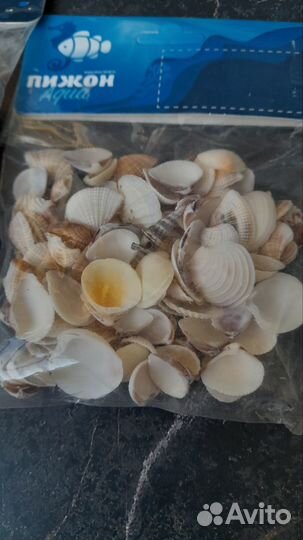 Морские ракушки натуральные для аквариума и декора