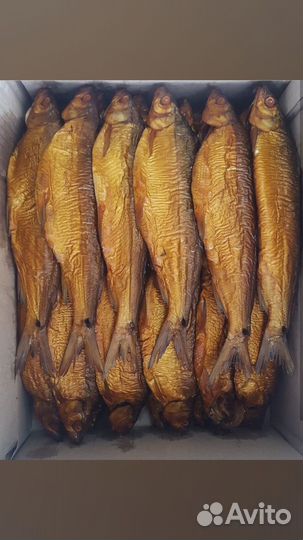 Рыба копченная, Сиг Из Армении,Свежий,опт/розница