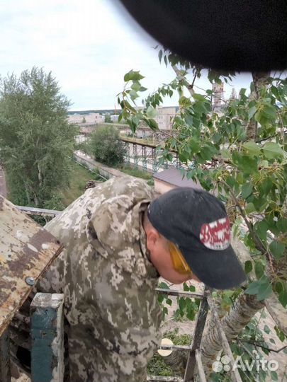 Спил деревьев