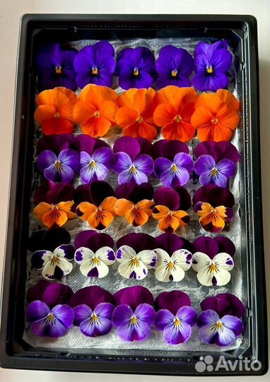 Пишевые (съедобное) цветы