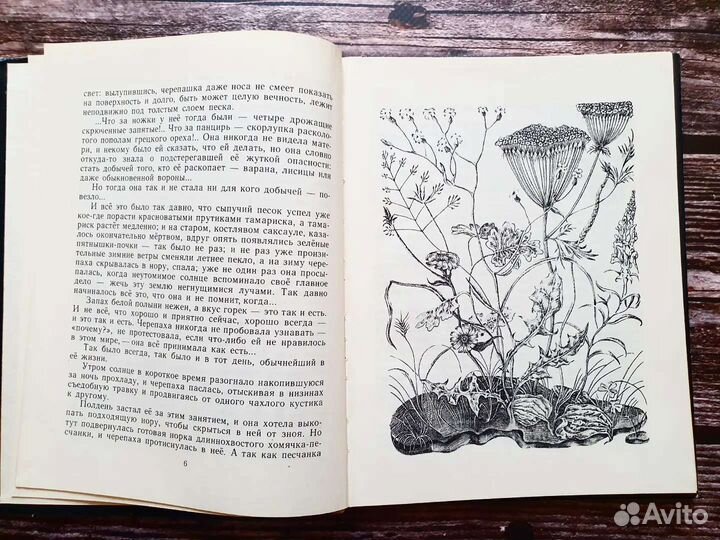 Лев. Пять дней из жизни черепахи 1980 г