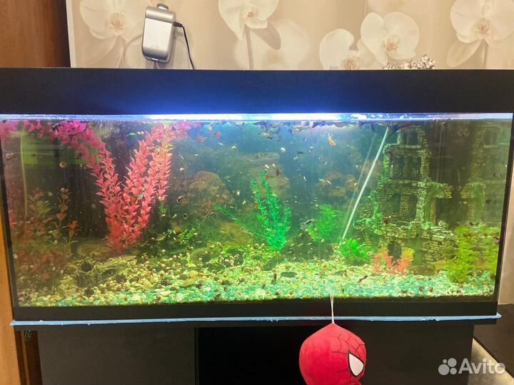 Аквариум с тумбой и рыбками