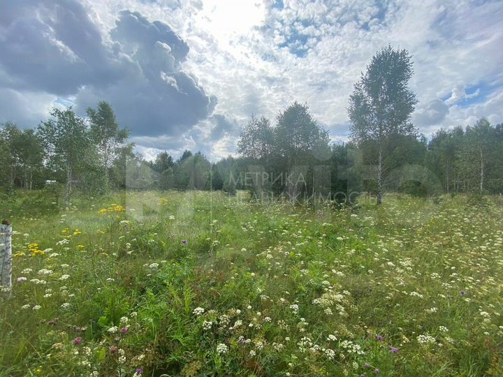 Участок 15,3 сот. (личное подсобное хозяйство (лпх))