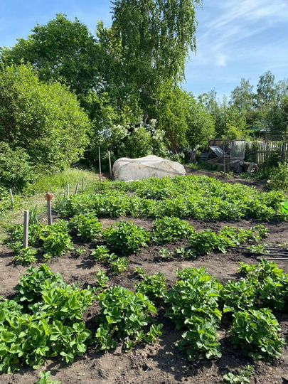 Дача 10 м² на участке 6 сот.