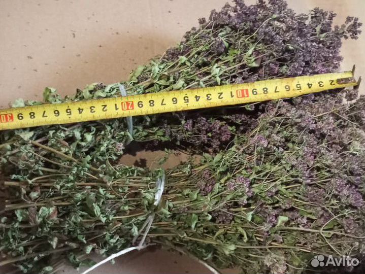 Душица в пучках