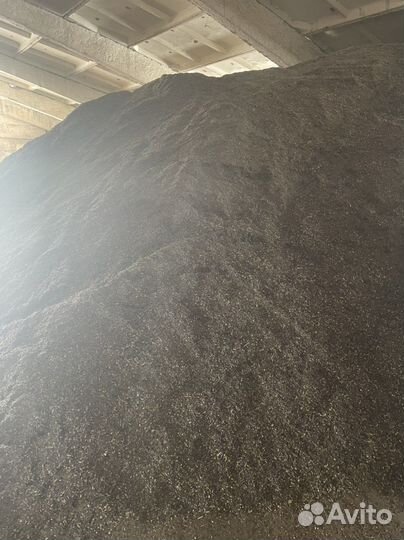 Подсолнечник только оптом от 5 тонн