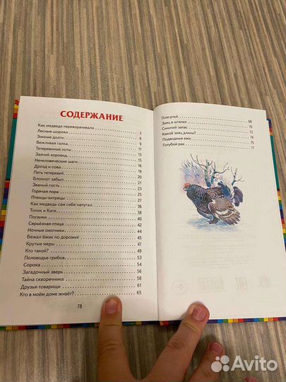 Детские рассказы о животных