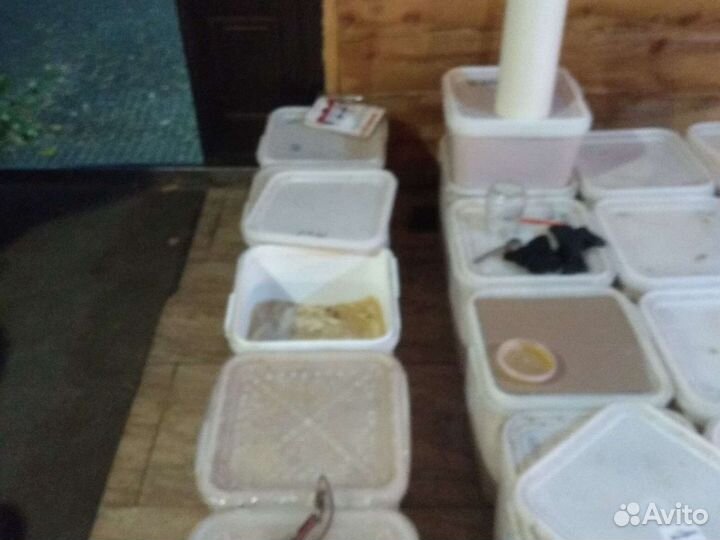 Мёд из Донника. Урожай 2022 года