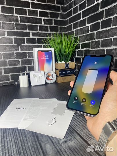 iPhone X, 256 ГБ