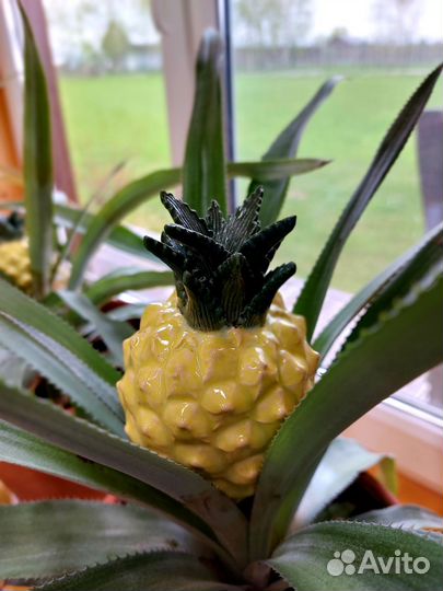 Декоративный ананас