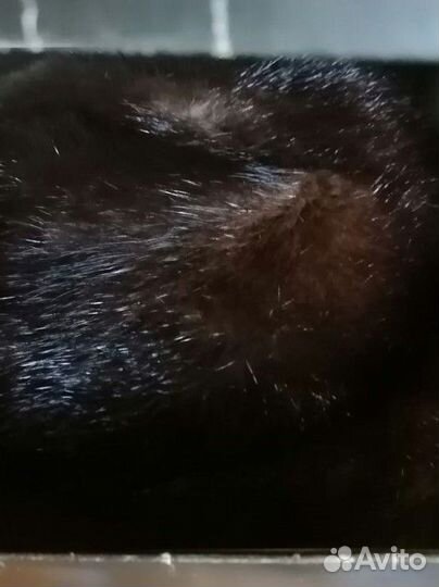 Шапка норковая женская