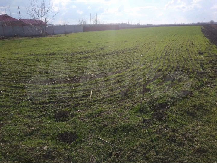 Участок 25 сот. (ИЖС)