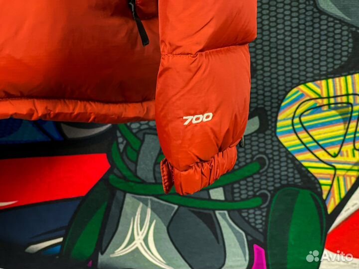 Пуховик The North Face Nuptse 1996