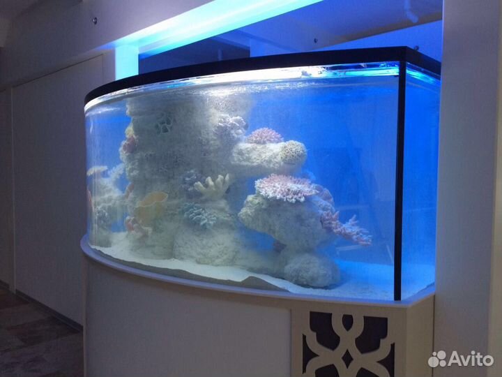 Аквариум на заказ в Улан-Удэ по вашим размерам