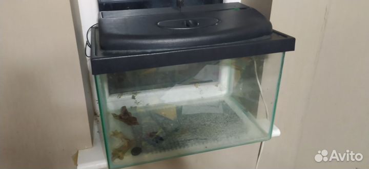 Аквариум