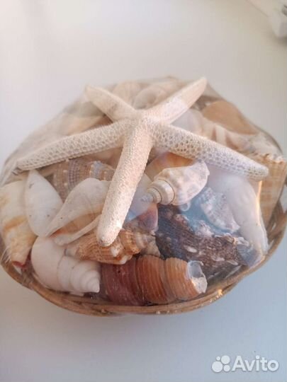 Набор ракушек в корзинке, не распакована