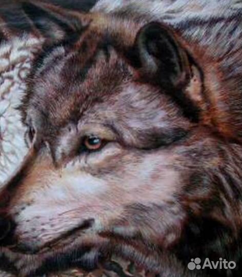 Картина кабаны и волки охота