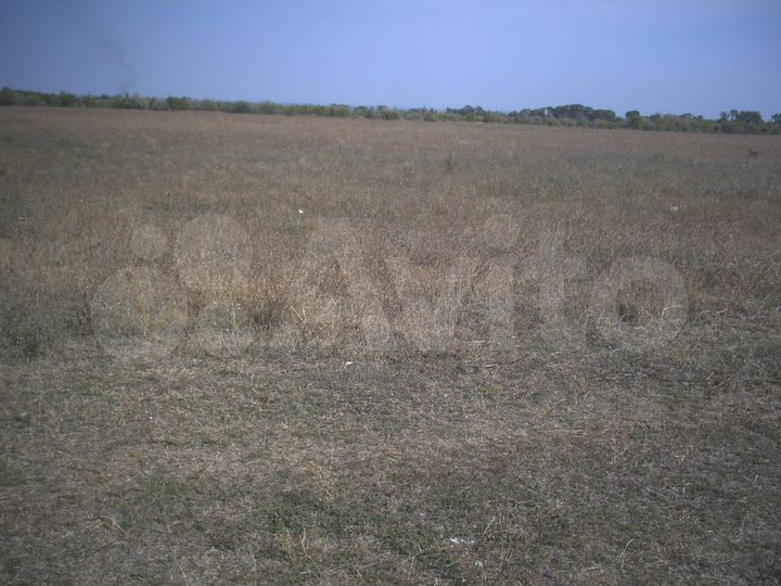 Участок 10,3 га (СНТ, ДНП)