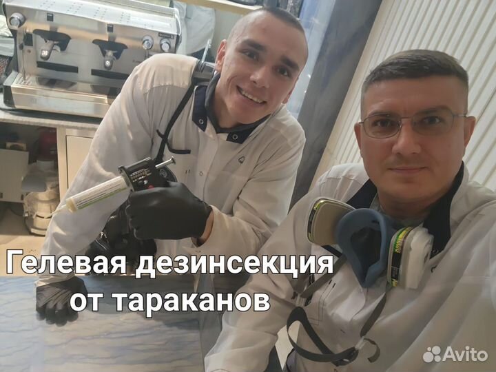 Дезинфекция от тараканов и клопов грызунов