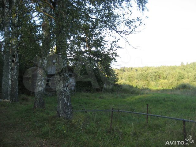 Участок 54,5 сот. (СНТ, ДНП)