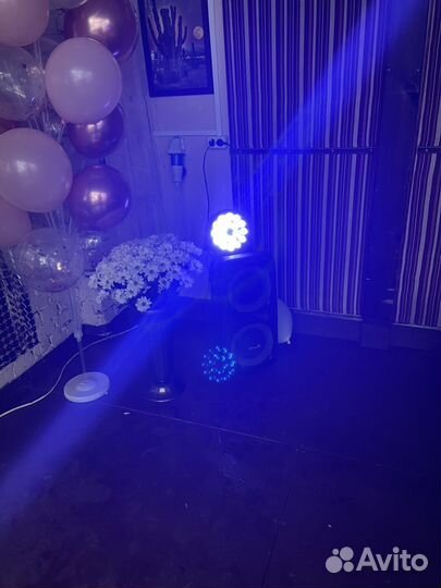 Аренда прокат колонки