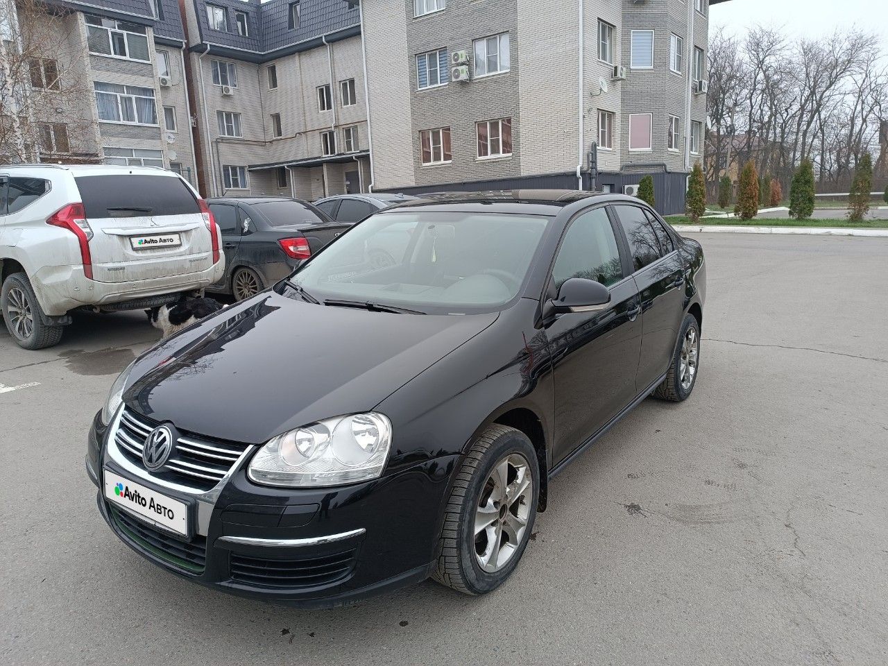 Volkswagen Jetta: фото владельца