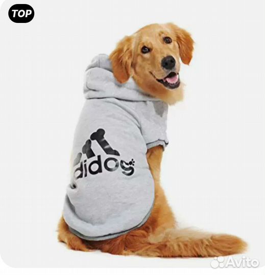 Кофта для собак