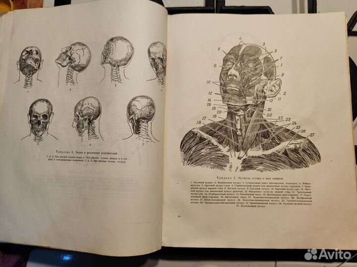 Антикварная книга Рисунок и живопись 2 тома