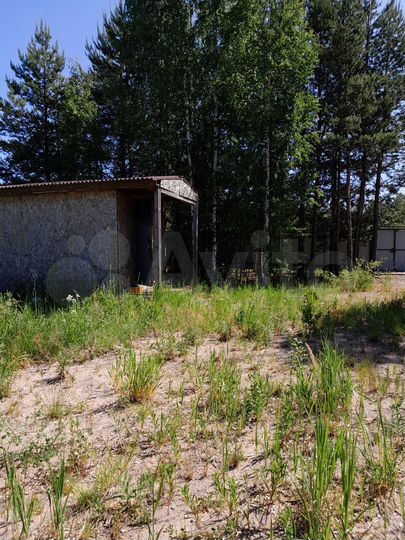 Участок 8 сот. (СНТ, ДНП)