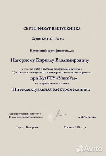 Репетитор по физике для школьников