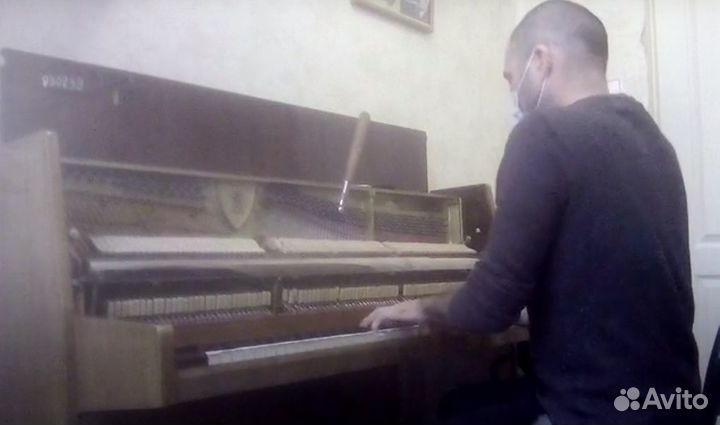 Настройка пианино и роялей. Ремонт