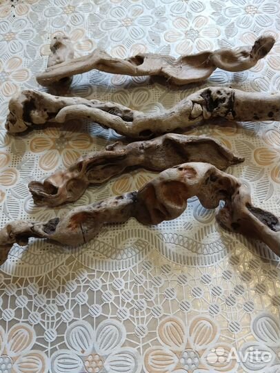 Коряги дрифтвуд