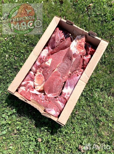 Мясо телятина