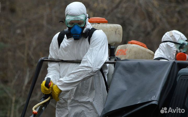 Обработка от клещей, муравьев, ос, шершней