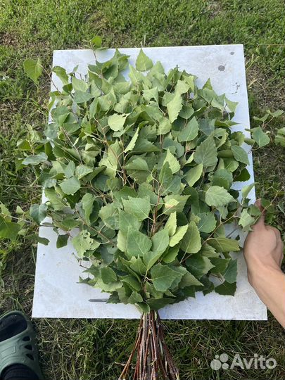 Веники для бани