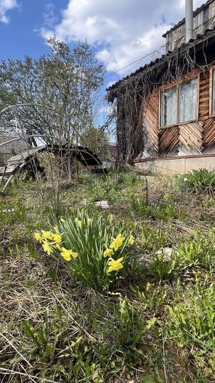 Дача 55 м² на участке 4,5 сот.