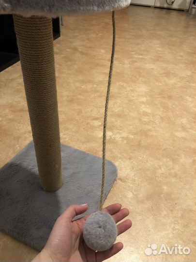 Когтеточка для кошек новая
