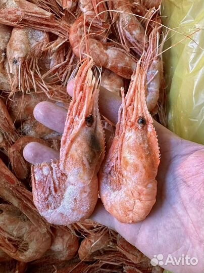Морепродукты креветки, лангустины доставка