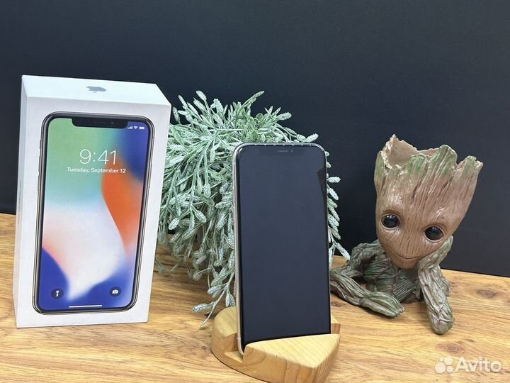 iPhone X, 64 ГБ
