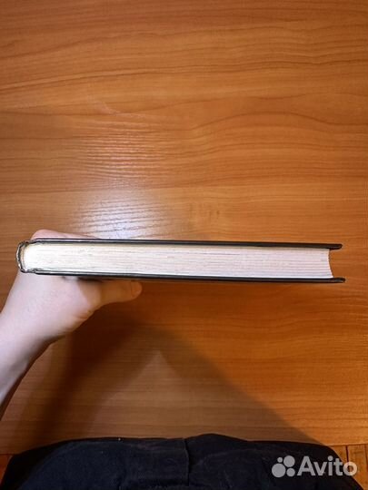 Книга Мятная Сказка Александр Полярный