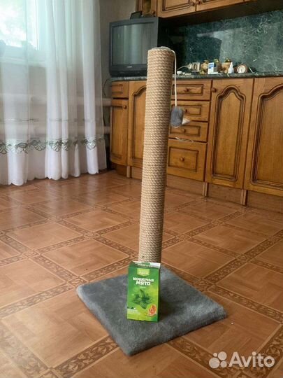 Когтеточка