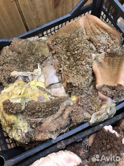 Рубец Требуха