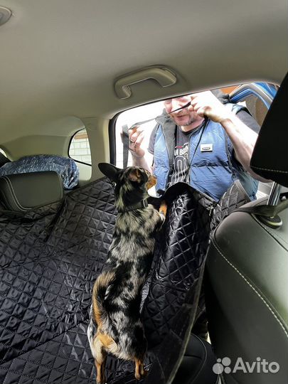 Такси для животных 