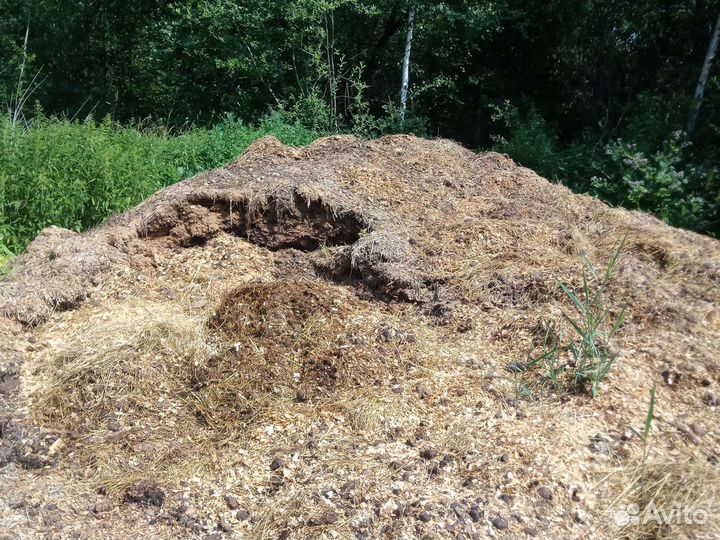 Конский навоз