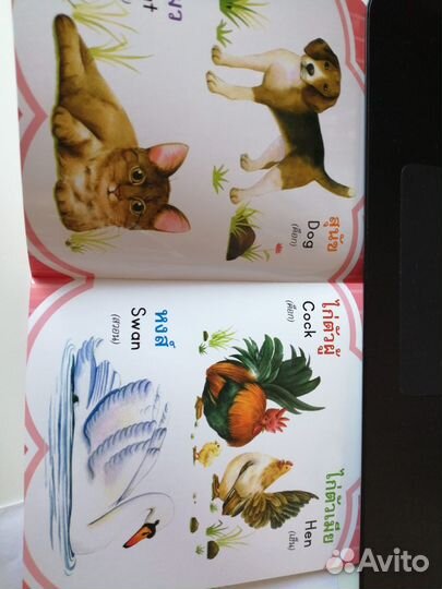 Детская развивающая книга на английском языке