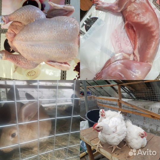 Мясо бройлера, фермерское