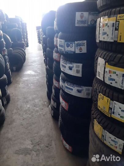 Cordiant Polar 205/55 R16