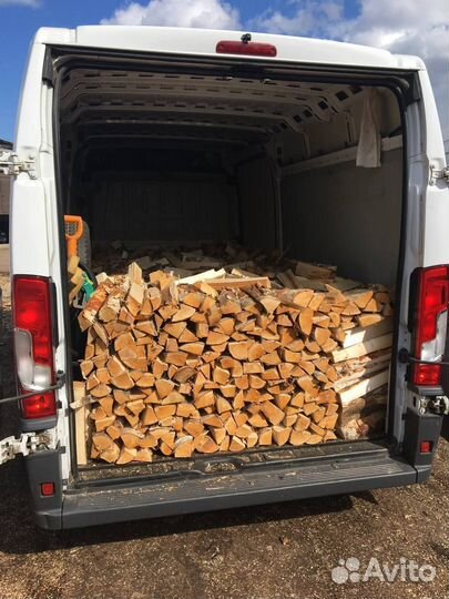 Дрова березовые сухие камерная сушка